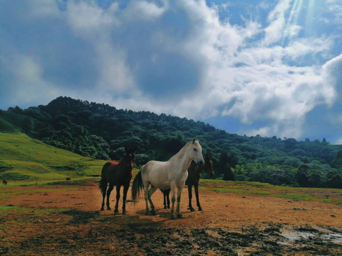 Finca Recreacional Marcelandia Santa Rosa de Cabal Extérieur photo