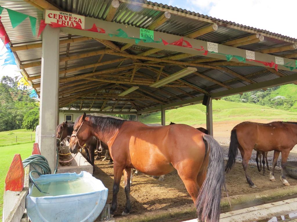 Finca Recreacional Marcelandia Santa Rosa de Cabal Extérieur photo